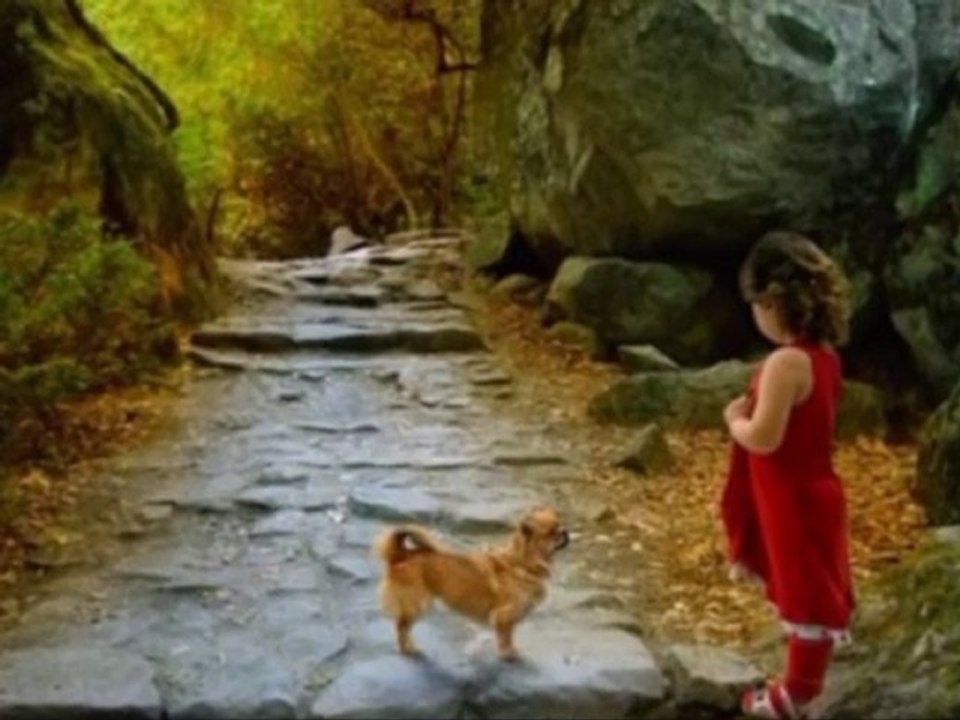 DOĞA VE ÇOCUK