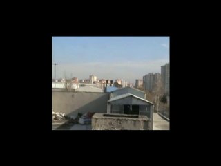 Düz saraylı disi eke