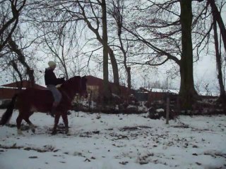 Cabriole Ethologie Ugo