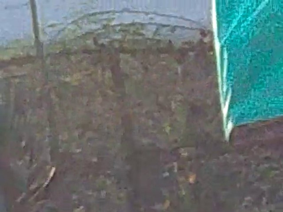 EMİRCAN ÇAĞLAR VE KÜÇENLERİ