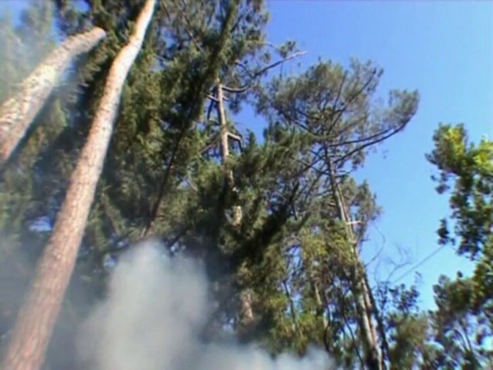 LE CIEL NOUS EST TOMBE SUR LA TETE William Acin 2010