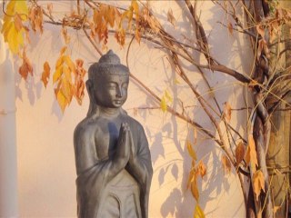 Metta meditation - Meditation guidée