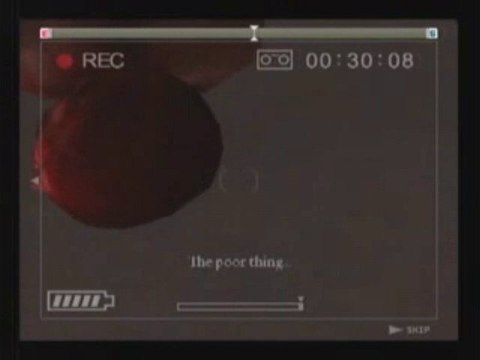 Michigan : Report from Hell - Brisco Powa -