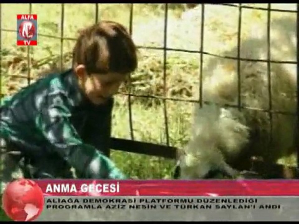 Aziz Nesin Türkan Saylan Aliağa'da Anıldı 2