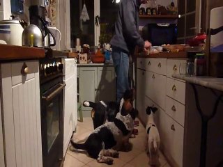 Préparation du repas avec la tribu