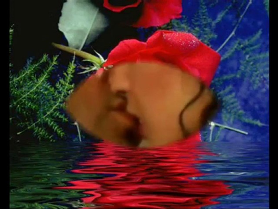 NUREM47EMİNAMIN ALİHAN SEVDA MEVSİM