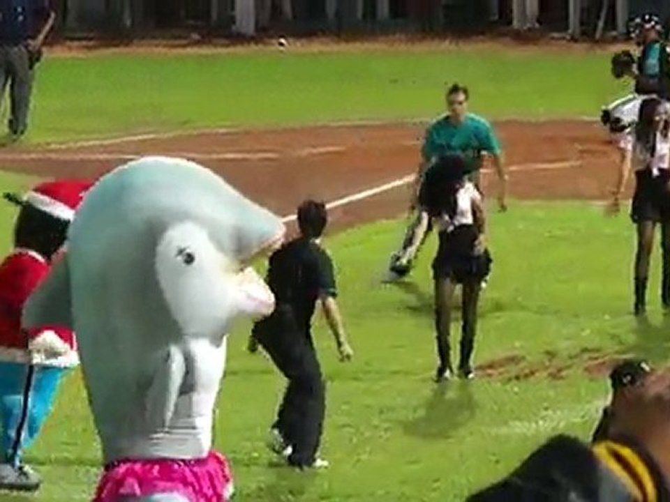Danza de Los Bravos