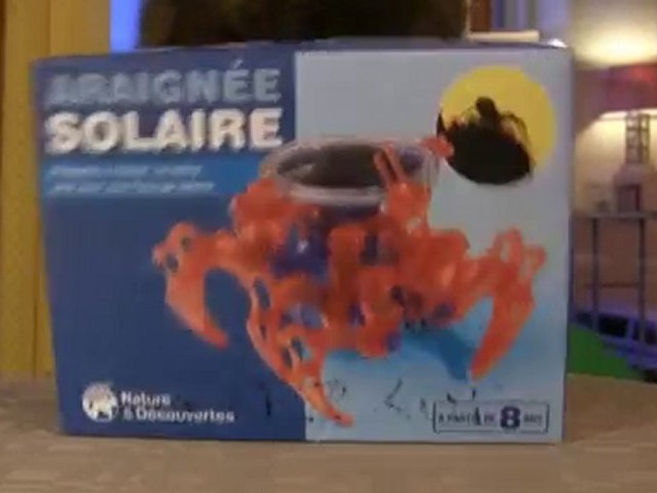 Araignée solaire