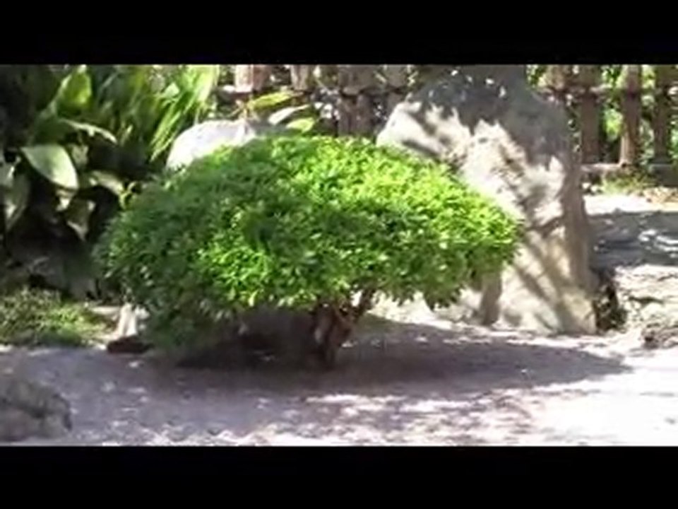 10-12-27 Senga's Vlog - How Do You Design a Japanese ...