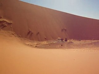 Sahara Fun