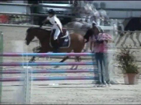 lamotte 2010 line elvey