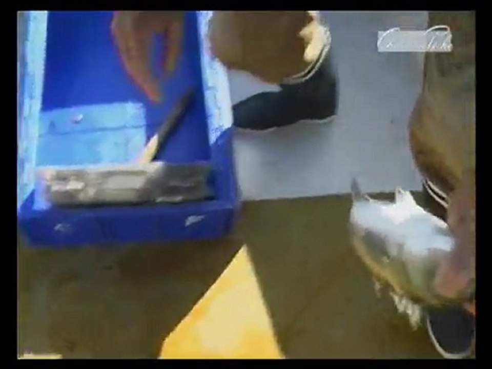 CHASSE & PECHE(101227_0632)