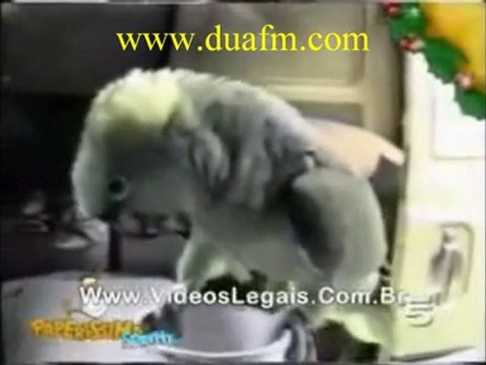 Bebek Olan Evde Papağan Beslenirse