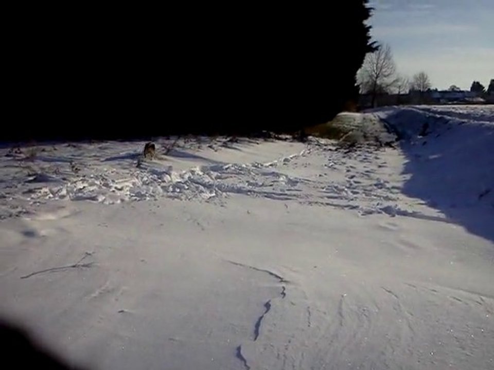 Minus dans la neige