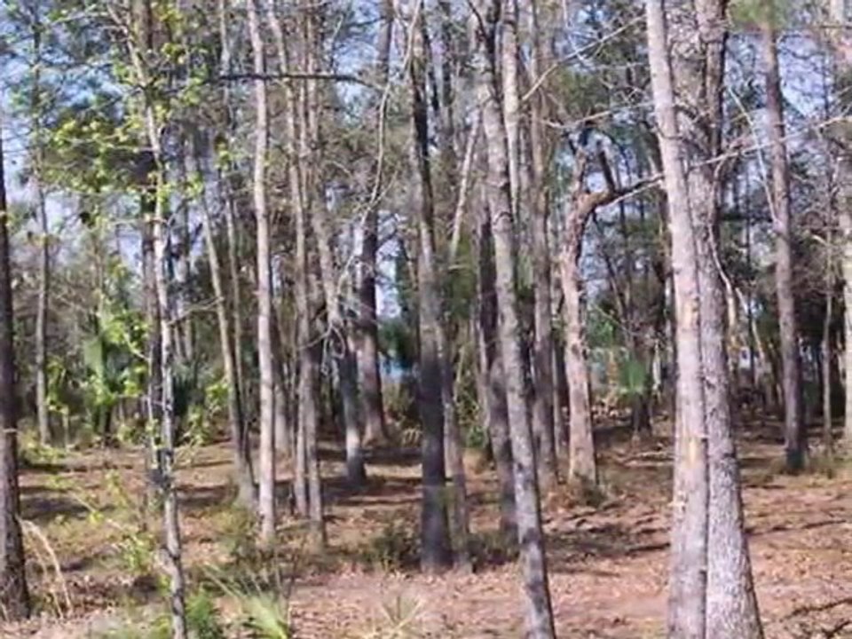 Homes for Sale - 1900 Mooring Line Dr - Mount Pleasant, SC 29466 - Lisa Edwards