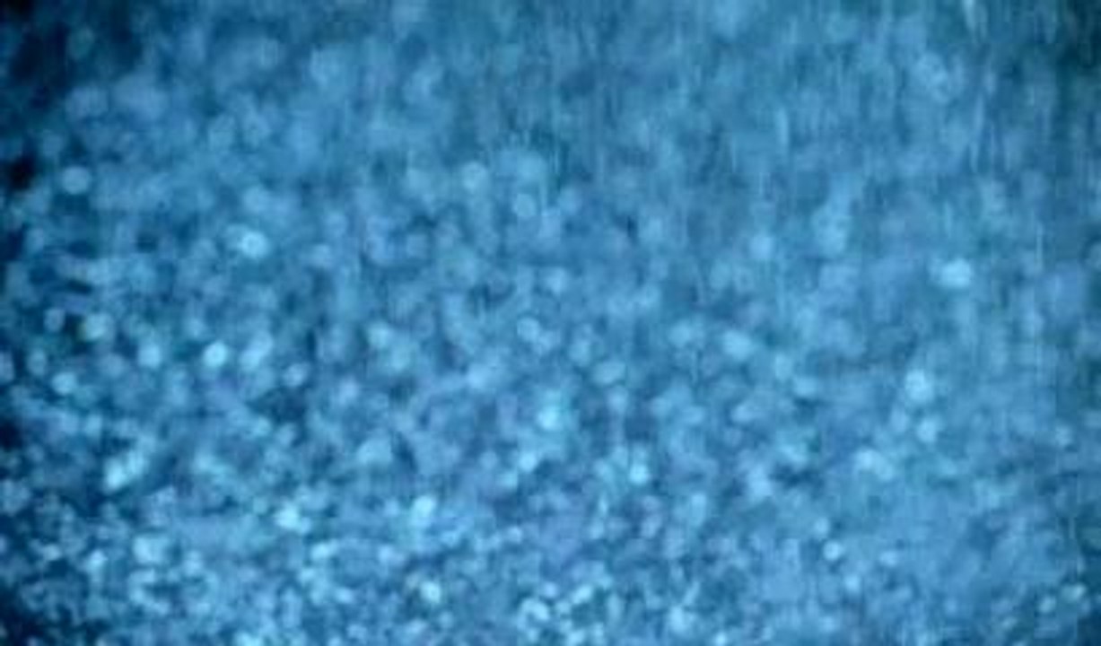 Bullet for my valentine tears ....