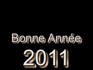 Bonne année 2011