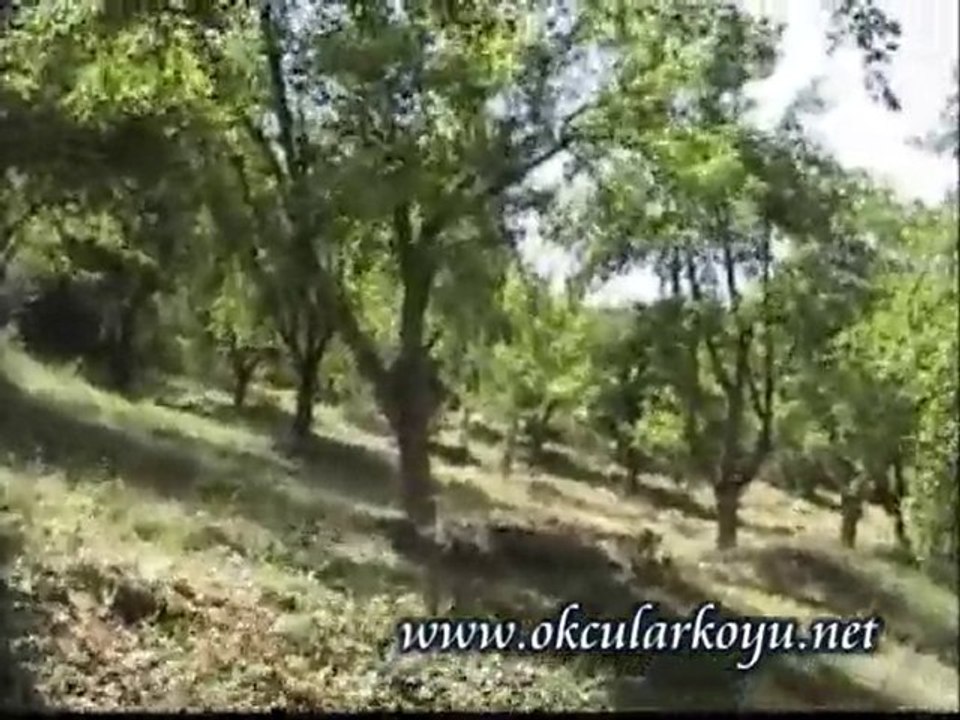 ELAZIĞ KARAKOÇAN OKÇULAR KÖYÜ AVDELAN MEZRASI