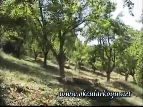 ELAZIĞ KARAKOÇAN OKÇULAR KÖYÜ AVDELAN MEZRASI