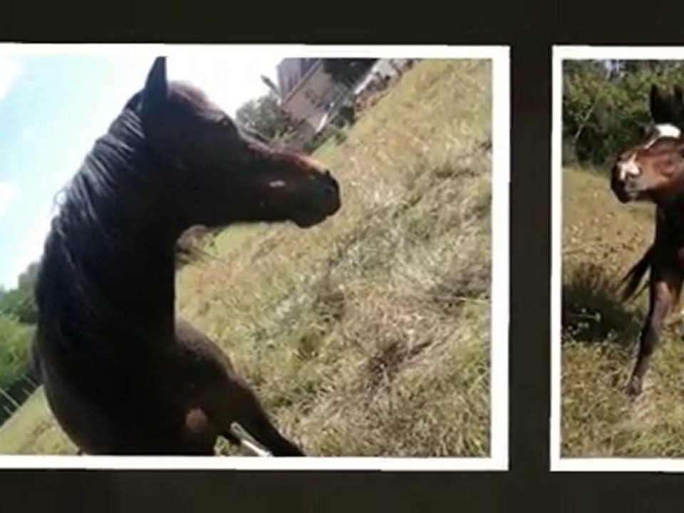 Roméo  < 3