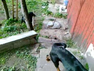 28122010027(00h00m00s-00h07m07s)