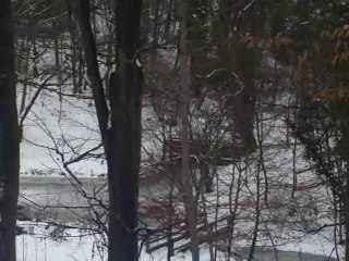 Fairy Dell Frozen. The Big Freeze 2010.