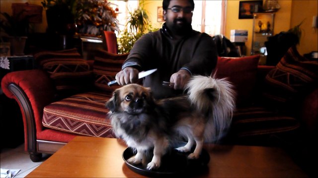 CHARAL CONCOURS Hummm charal version chien