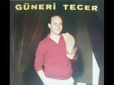 Güneri Tecer - Bir Yangının Külünü