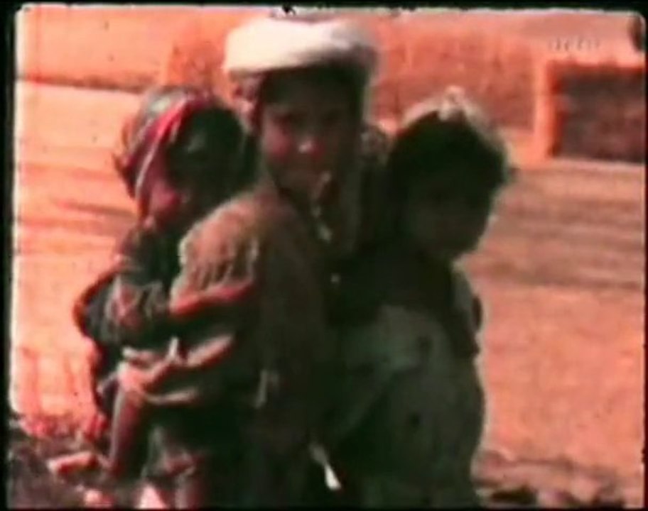 Algerie Palestine mème combat époque differente