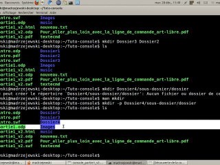 Tutoriel vidéo : Quelques commandes Unix indispensables