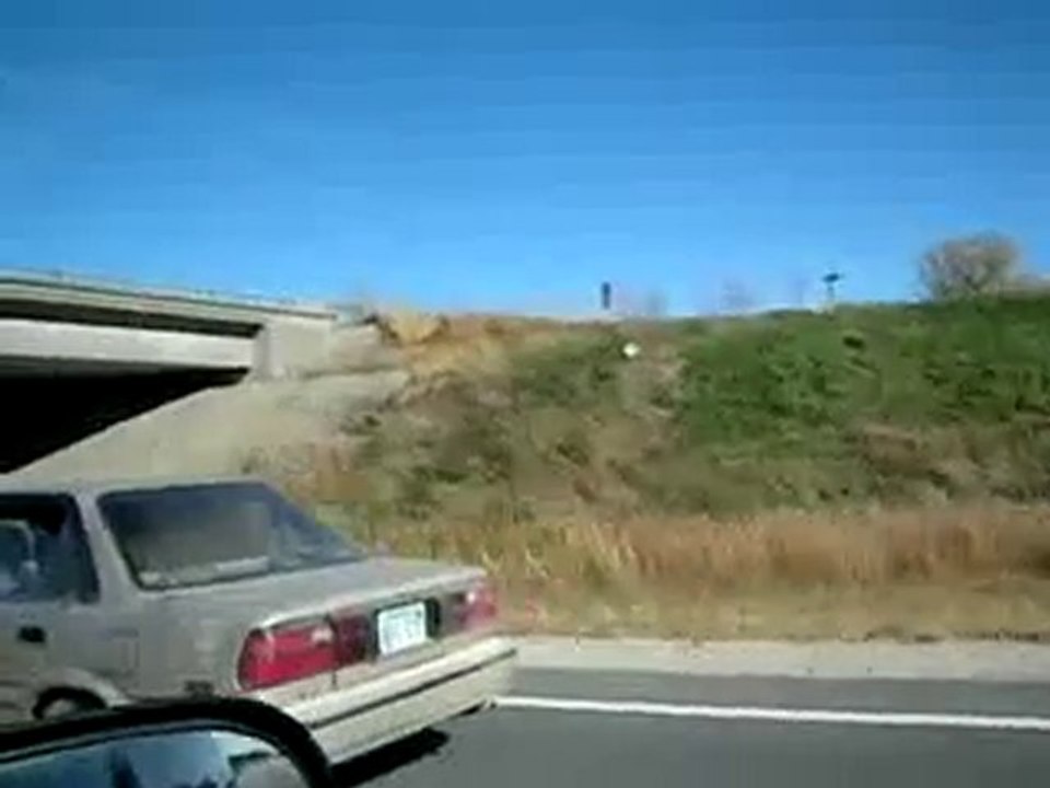 un cheval en voiture