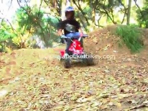 Pocket Bikes, Mini Bikes - Cobra S4 50cc Mini 4-Wheeler Qu