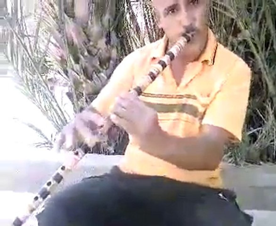 Gasba En Direct De Seïar (Khenchela)