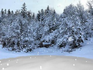 TOMBE LA NEIGE 2011(MEILLEURS VOEUX)