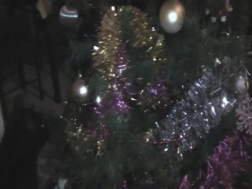 chats de Noel 2010
