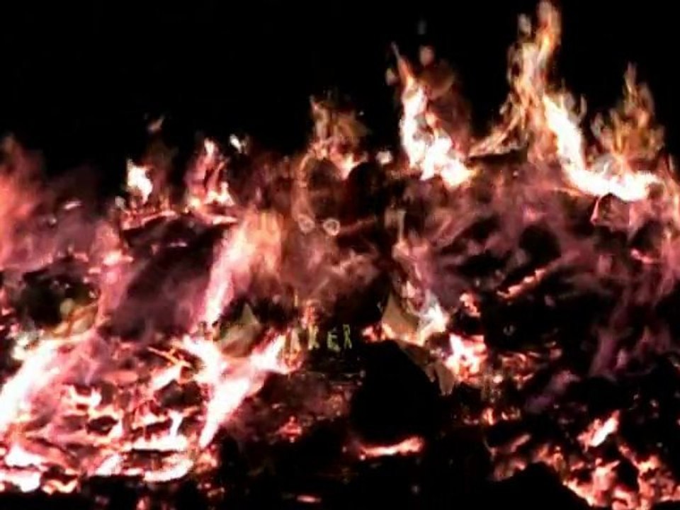 Promi Massaker: by Das Perfekte Promi Massaker