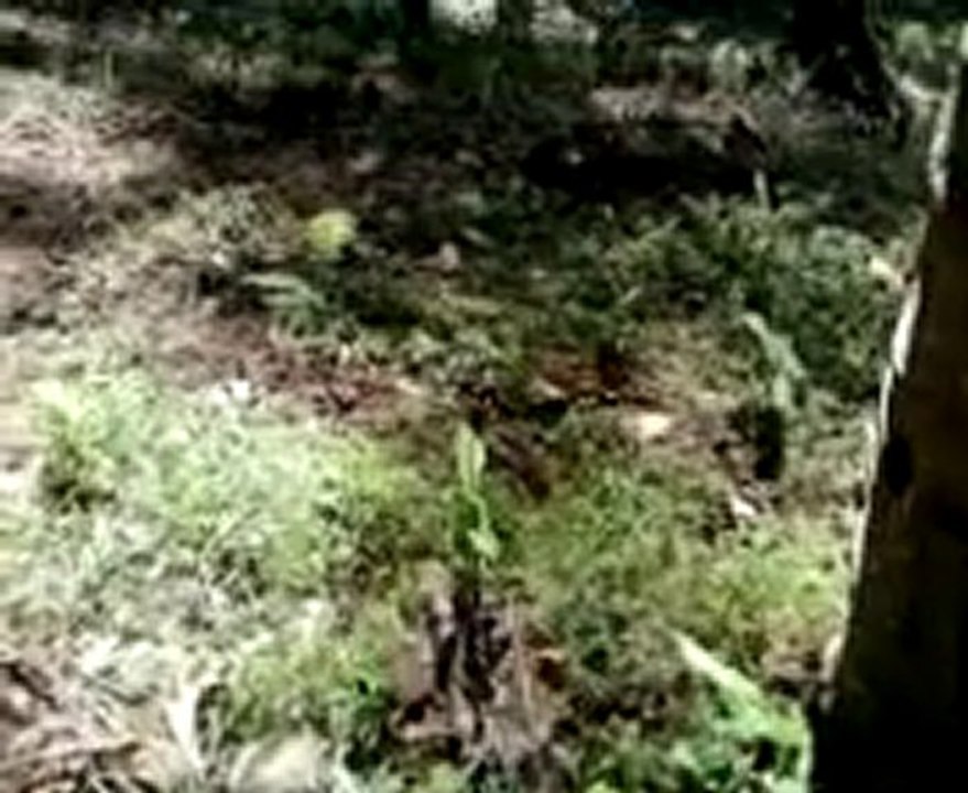 My Green Business starting