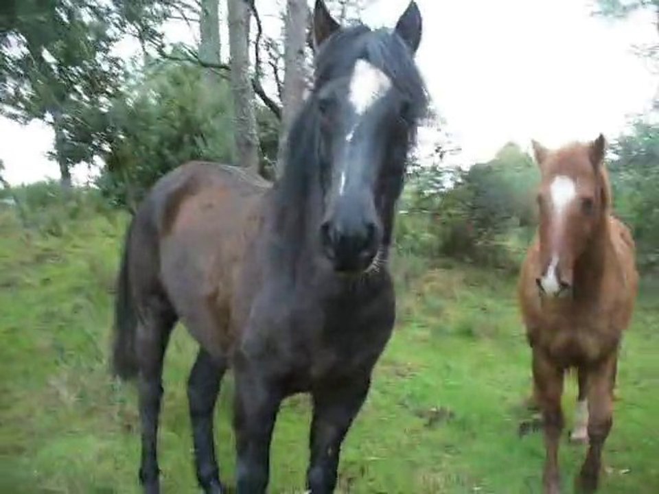 Tucker, Karta....................Et Louna au pré,