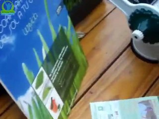 Wheat grass - Jugo de trigo por Teo Seifer Personal Trainer