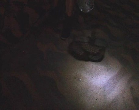 détecteur de métaux White's prizm 6t la nuit à la plage