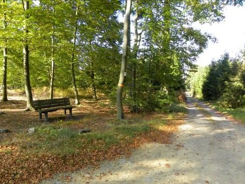 Diaporama de l'année 2010 - 40ème partie