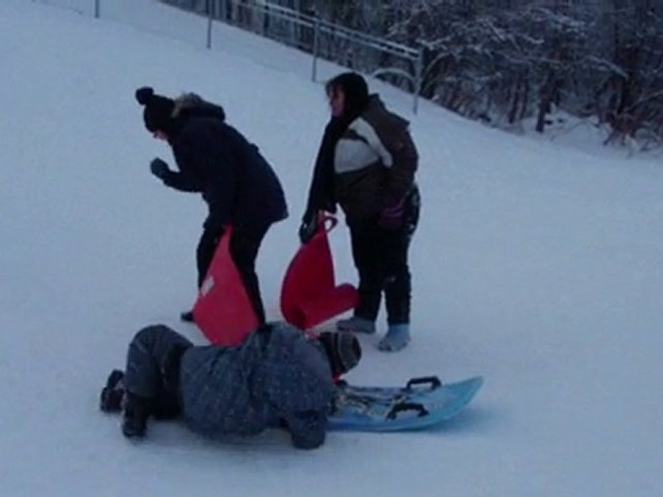 Luge 2