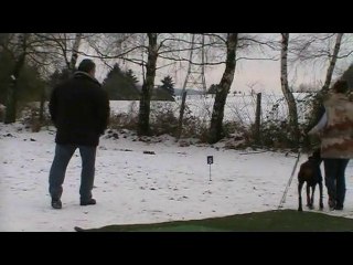 ZTP Excuse me of devil inside