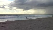 Kite surf (1)
