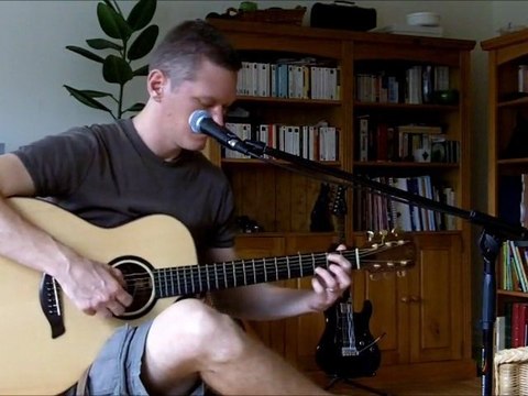 Blackbird cover - The Beatles - Reprise