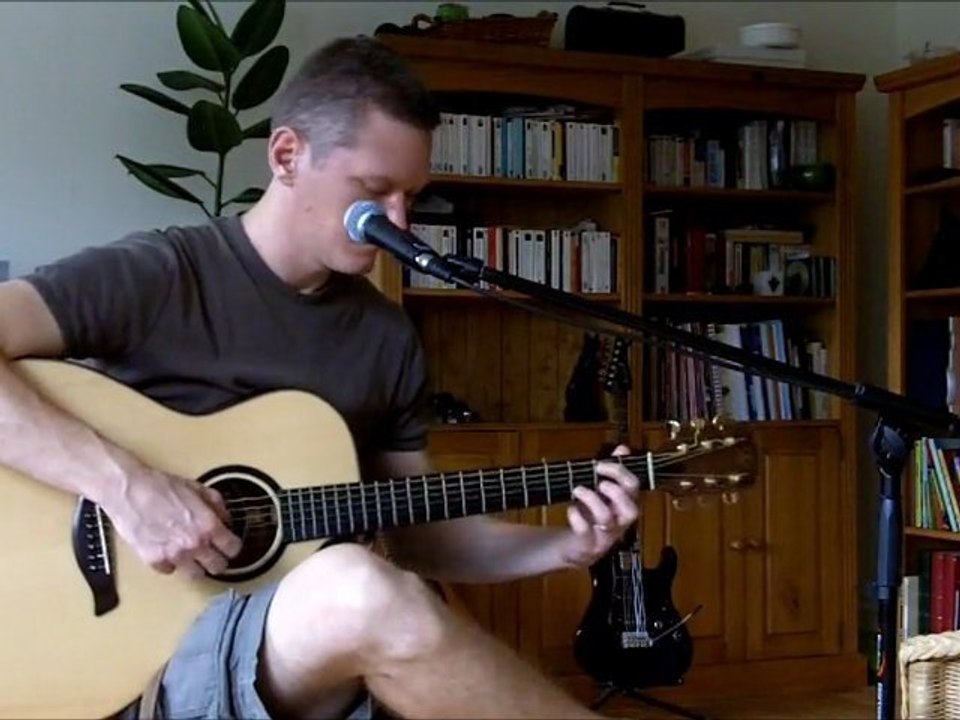 Blackbird cover - The Beatles - Reprise