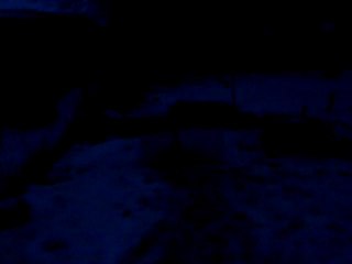 colvert noir1peu blanc