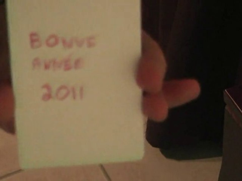 Bonne année 2011