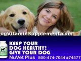 Dog Vitamin Supplement | Dog Health Supplements