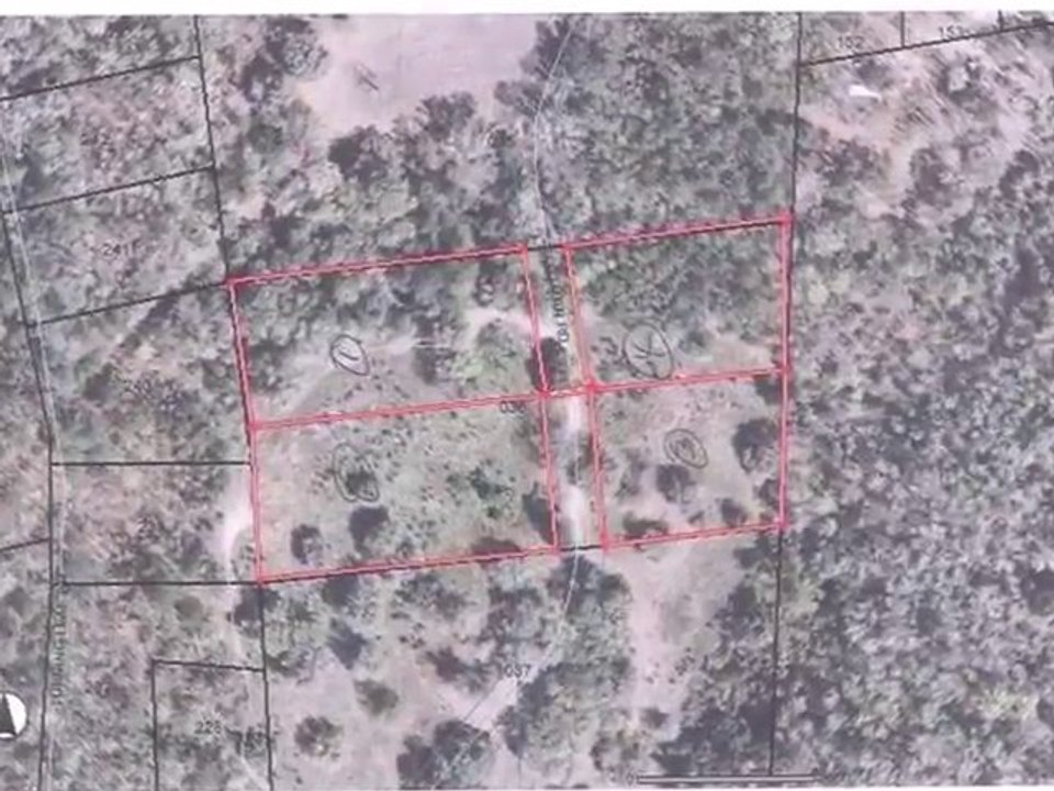 Homes for Sale - 3  Benjamin Rd - Johns Island, SC 29455 - Roger Sample